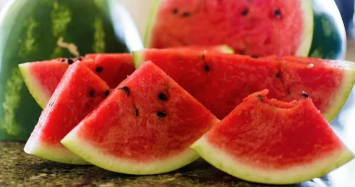 lubenica ilustracija/