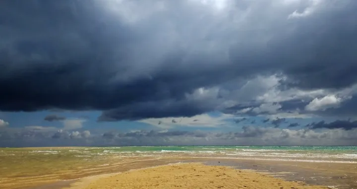 Ovi savjeti mogu vam doslovno spasiti život/Free Pik