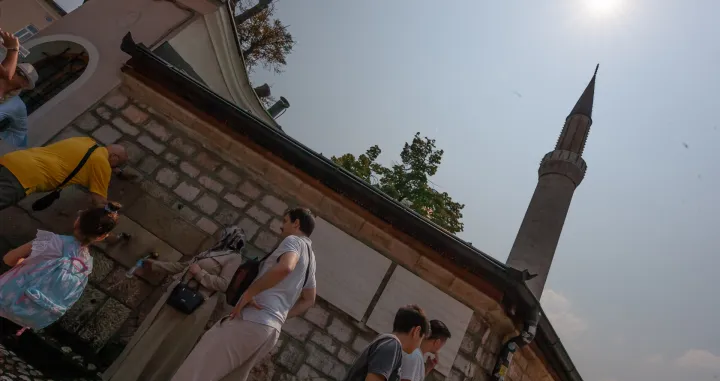 Toplo vrijeme ilustracija/Damir Deljo