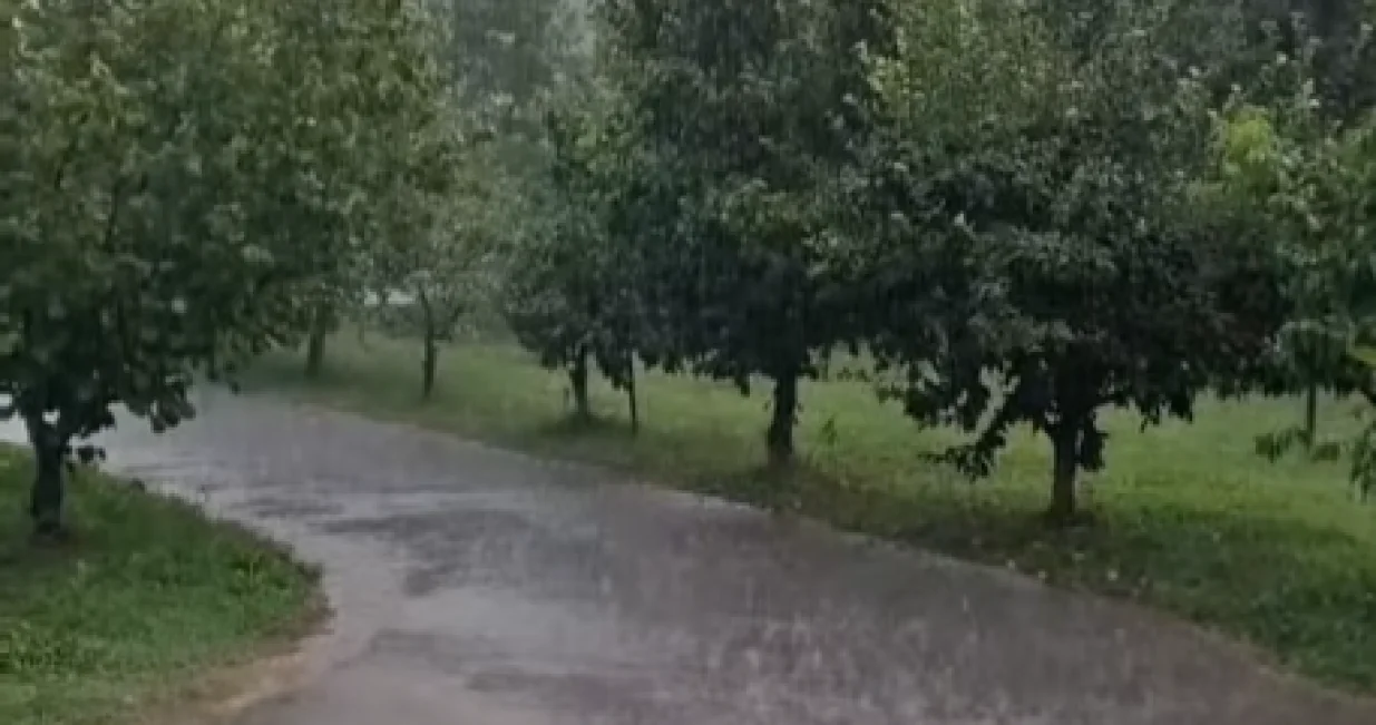 Kiša u Gradišci, Gradiška, Krajina, pljusak, osvježenje/Prtsc