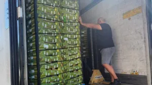 Rakija od ananasa/Aleksandar Glišić