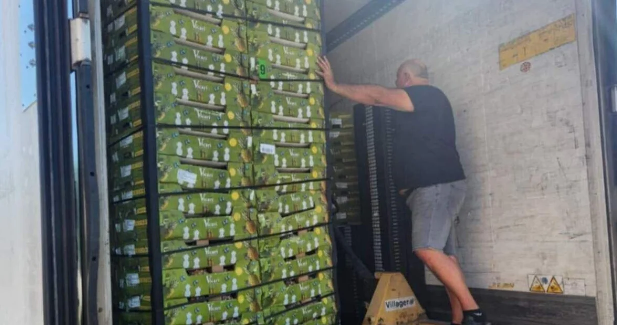 Rakija od ananasa/Aleksandar Glišić