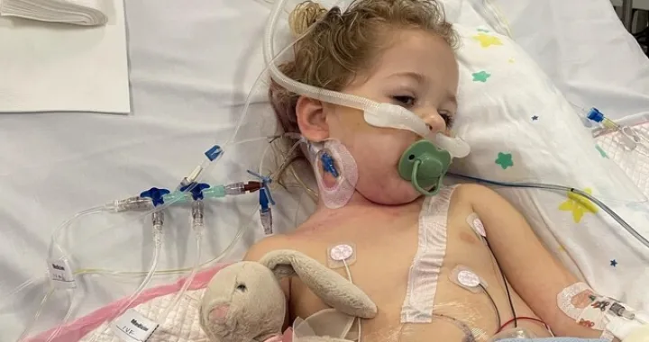 Millie očekuje jo&scaron; nekoliko operacija/GoFundMe/