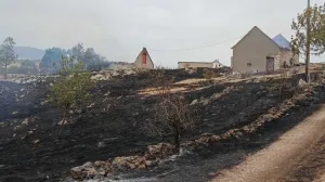 Kiša je ugasila požare/RTRS/