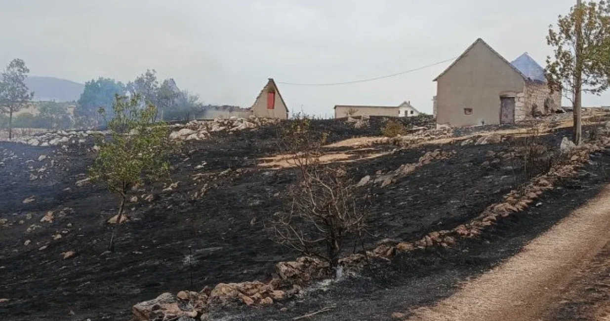 Kiša je ugasila požare/RTRS/