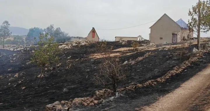 Kiša je ugasila požare/RTRS/