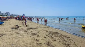 Plaža u Draču/NAP/