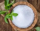Stevia, prirodna zamjena za šećer/Medicalnewstoday.com