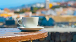 Šok za turiste/Free Pik