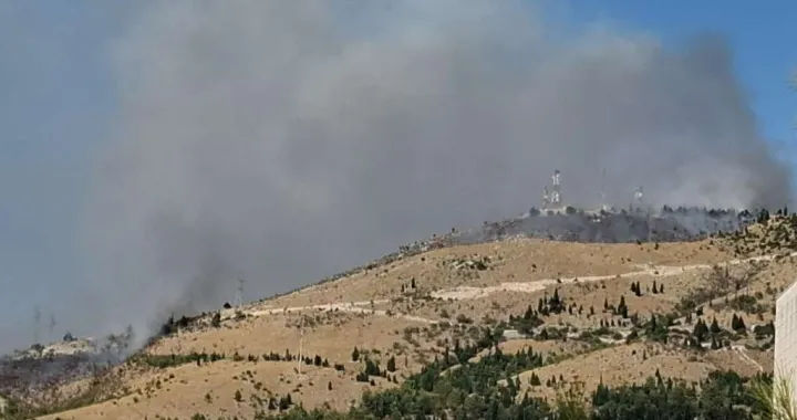 Na nogama vatrogasci/Branka Soldo/Fena/Branka Soldo