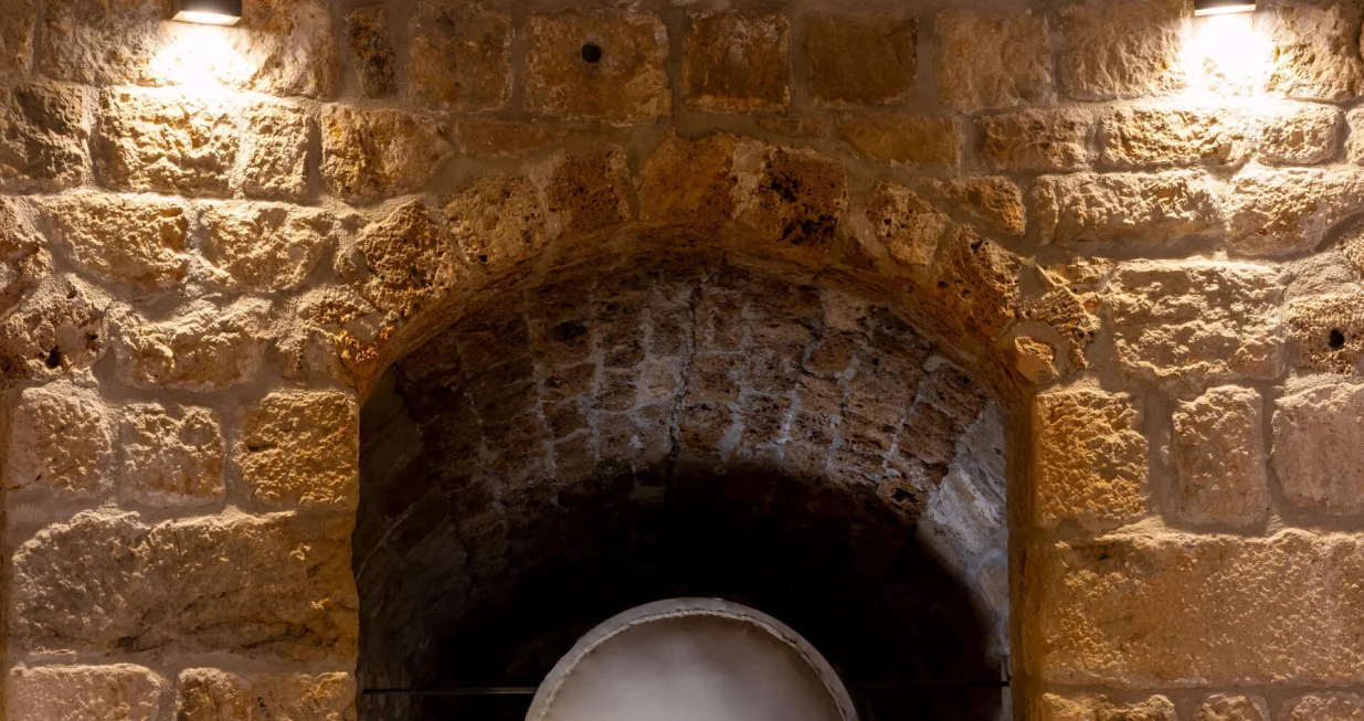 /VERONICA AREVALO/Veronica Arevalo Allende