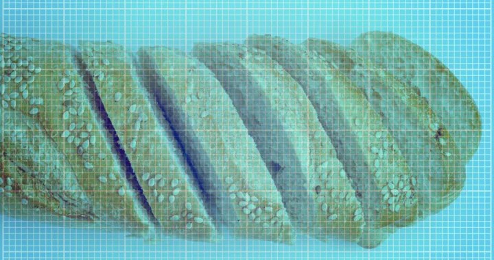 Vizual za kolumni eldine zolj balenović/Benjamin Krnić