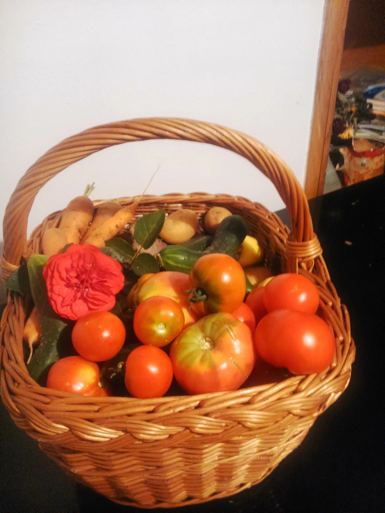 Puna korpa vrtnih delicija/