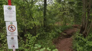 Curine njive juli/Senad Gubelić