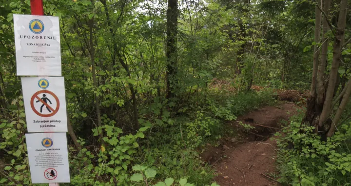 Curine njive juli/Senad Gubelić