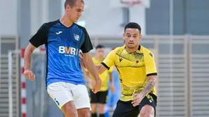 Davor Arnautović Linz