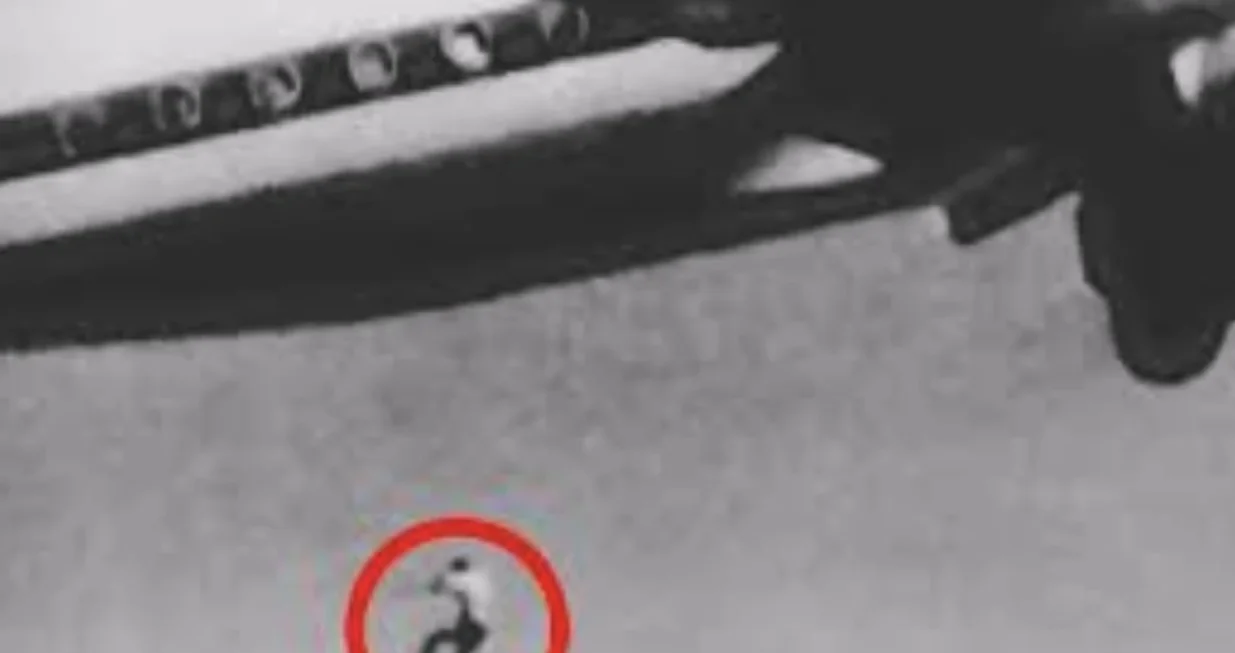 Frane Selak je preživio pad iz aviona/Screenshot