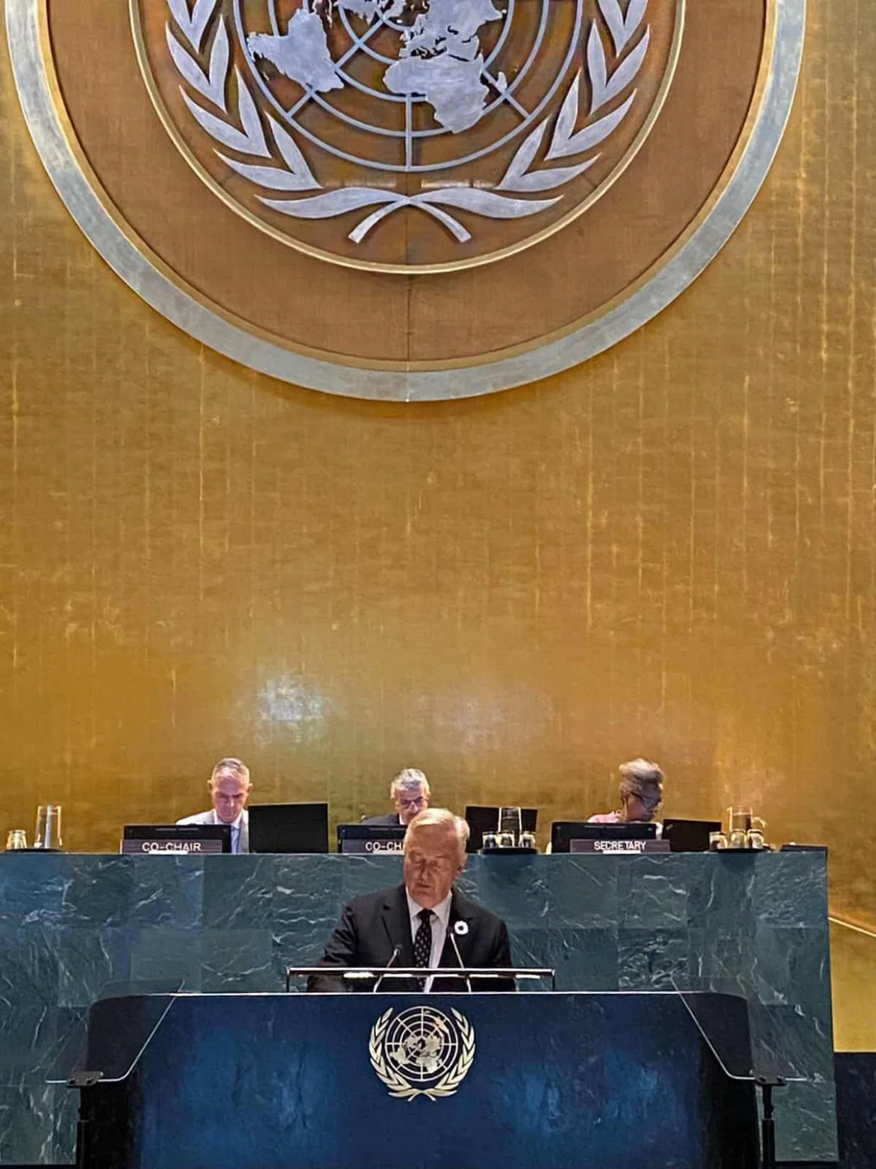 Obraćanje Lagumdžije na konferenciji UN-a/