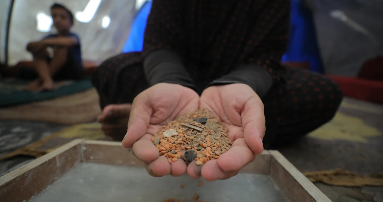 DEIR AL-BALAH, GAZA - 29. JULI:Palestinci koji žive u improviziranim šatorima u izbjegličkom kampu Nuseirat pokušavaju preživjeti izraelsku blokadu i politiku gladovanja kuhajući s odbačenom namirnicama u Deir al-Balahu, Gaza, 29. jula 2025. Porodice pretražuju otpadnu leću kako bi pripremile obroke dok se nestašica hrane pogoršava u Pojasu Gaze. (Hassan Jedi - Anadolu Agency)/