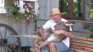 Screenshot/ Facebook/