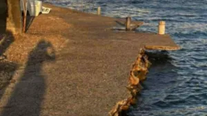 Screenshot/ Crna-hronika.info/