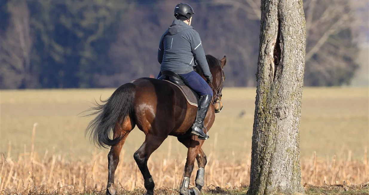 Pad sa konja rezultirao smrću/Unsplash