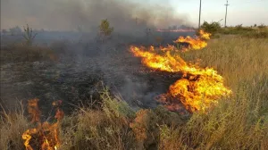 Požar, paljenje korova, korov, njiva, vatra, trava, poljoprivreda/Pixabay