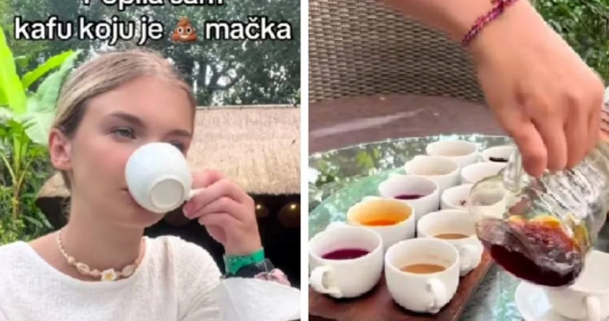 Anastasija Milojić, tiktokerica, probala najskuplju kafu/Prtsc