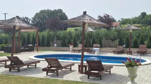 Kontrolirane vile sa bazenima/Ilustracija/Fena//