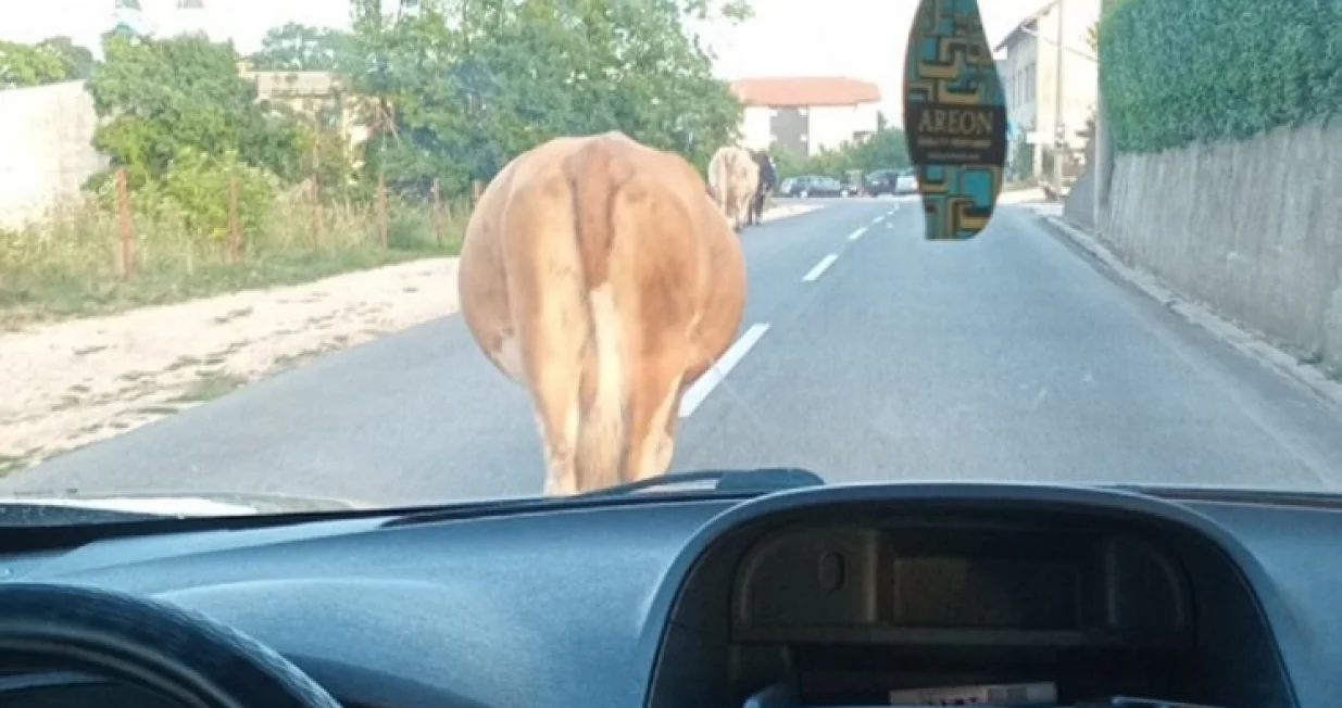 Nesvakidašnja situacija/Društvene mreže//