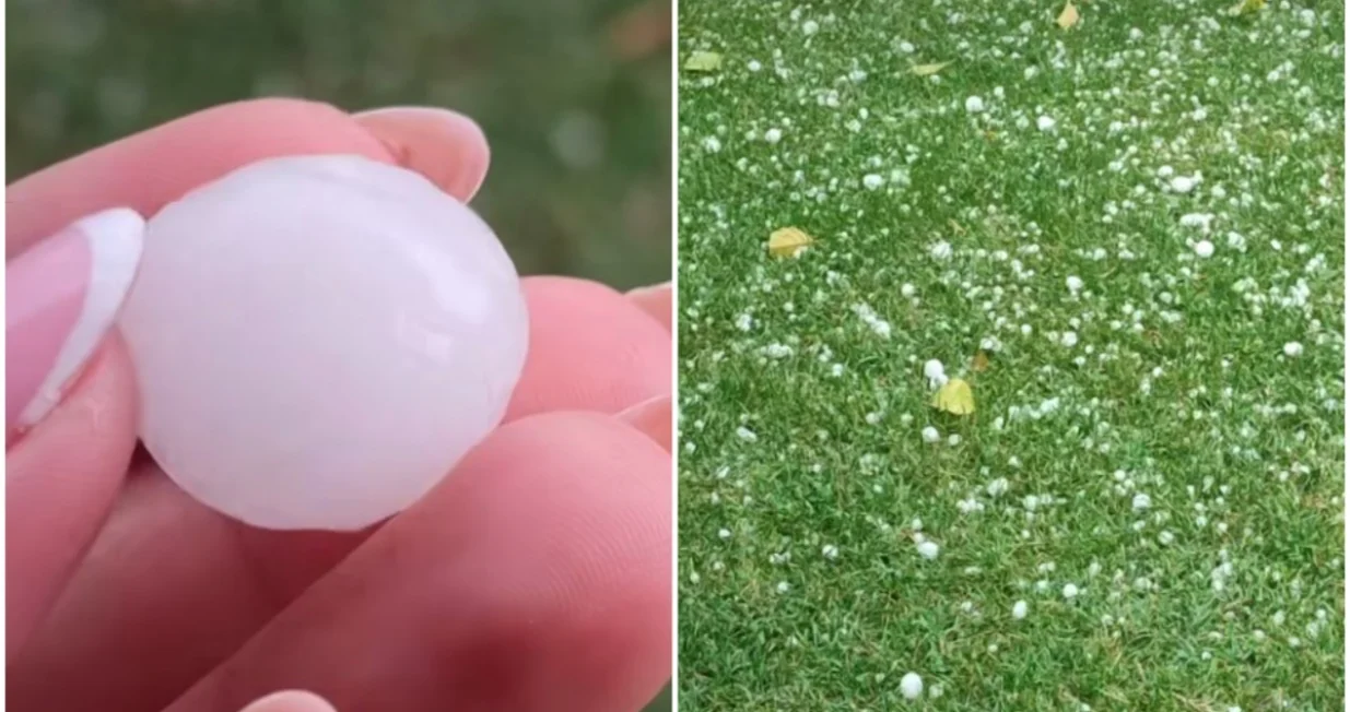 Padao grad/Printscreen/Društvene mreže//