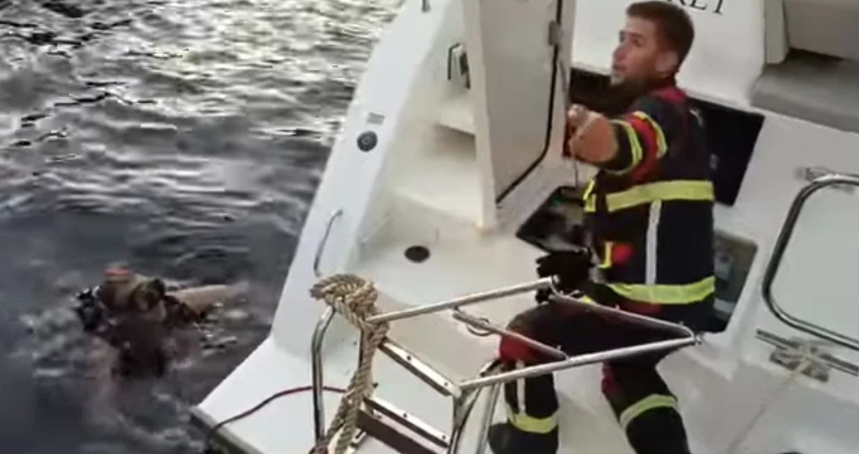 Vatrogasci u akciji spašavanja na Jadranu/Dalmacija Danas