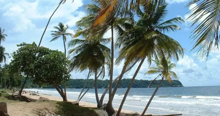 JEDINSTVENI DAR PRIRODE: Karipski arhipelag je dug više od 4.000 km, sa više od 7.000 ostrva, rajskih plaža, atola, koraljnih sprudova i živopisnih uvala/