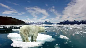 Globalno zagrijavanje/