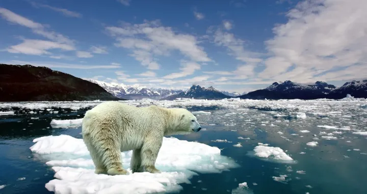 Globalno zagrijavanje/