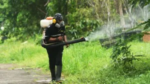 Denga groznica ilustracija/