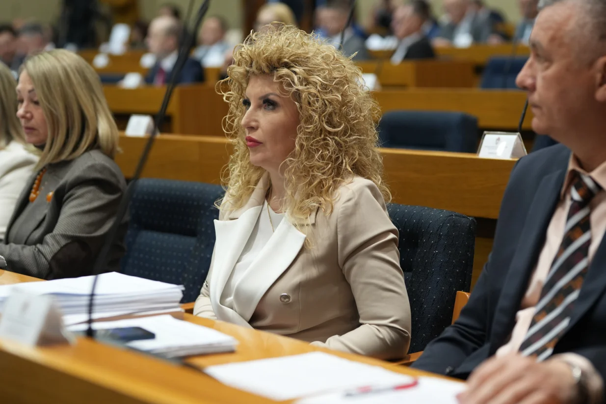 Mirjana Orašanin/blink.ba/Vedran Sevcuk