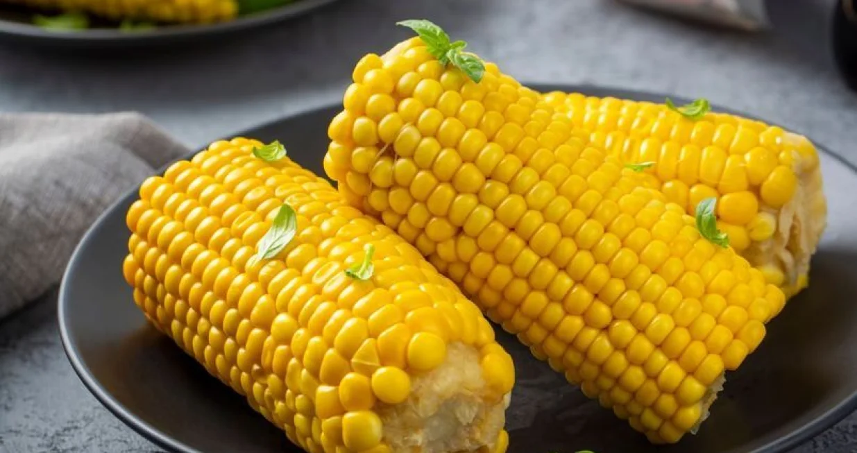 kukuruz ilustracija/