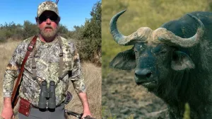 AMERIČKI milijunaš i lovac na trofeje, Asher Watkins (52), smrtno je stradao tijekom lovačkog safarija u Južnoj Africi nakon što ga je napao i usmrtio afrički bivol težak 1,3 tone/The South African