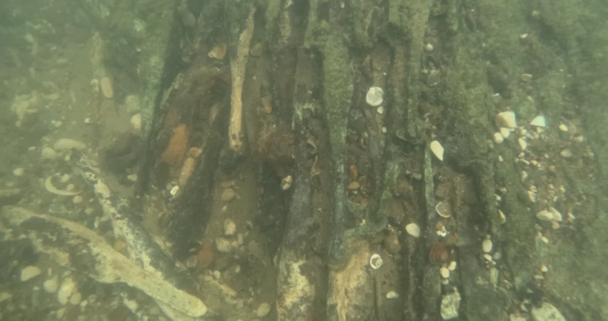 U Savi pronađeno više stotina rijetkih metalnih šipki iz vremena prije Krista/Muzej Franjevačkog Samostana Tolisa Vrata Bosne