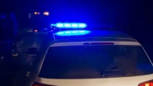 Uviđaj su obavili pripadnici PU Trebinje/