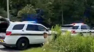 pucnjava u americi, ranjena dvojica policajaca/Screenshot/Screenshot 