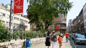 Pripreme za SFF 2025 Anketa/Damir Deljo