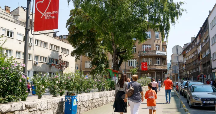 Pripreme za SFF 2025 Anketa/Damir Deljo