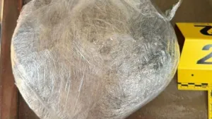 Oduzeta droga/MUP TK//