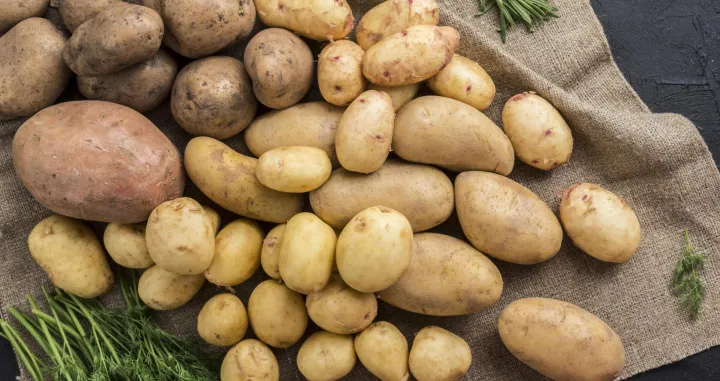 Uštedite vrijeme u kuhinji/Free Pik