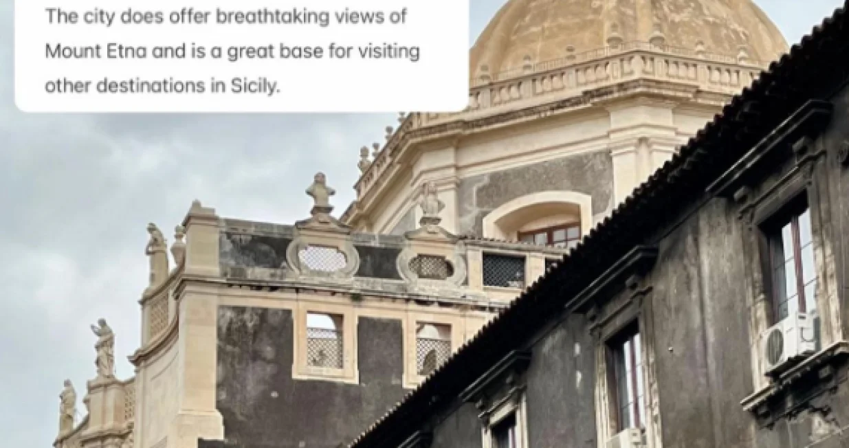 TikTok/ Screenshot/Tt