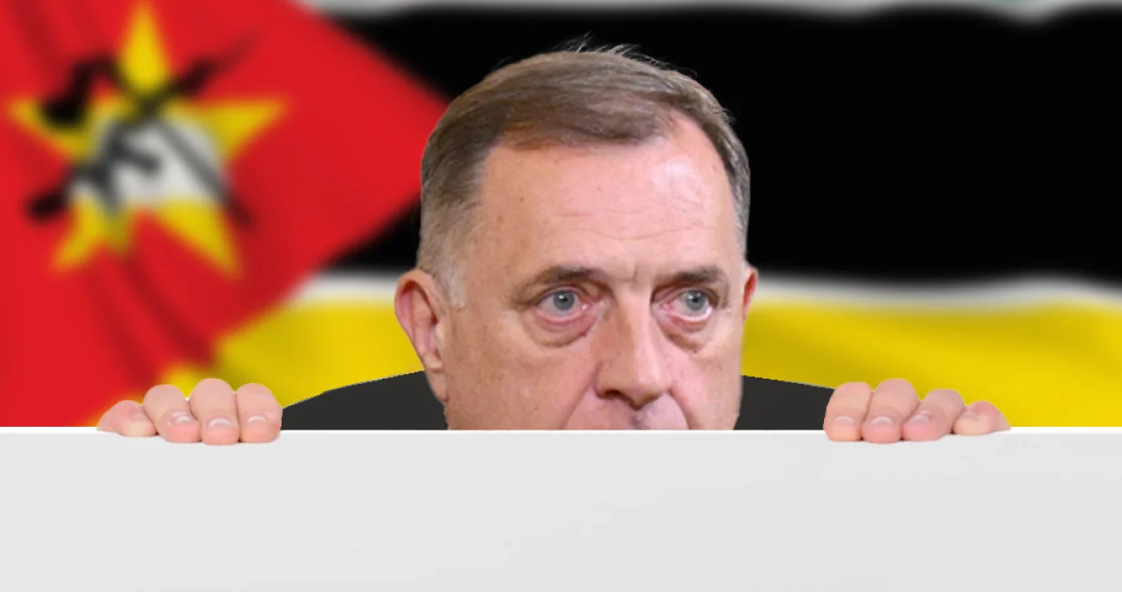 Kolumna Vildane Selimbegović: Od Mozambika do naših dana/Ilustracija/Benjamin Krnić