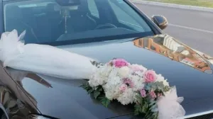 Svatovi/Ilustracija/