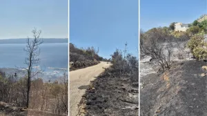 Nadljudski napori vatrogasaca kod Splita: Pogledajte zastrašujuće zgarište nakon požara/